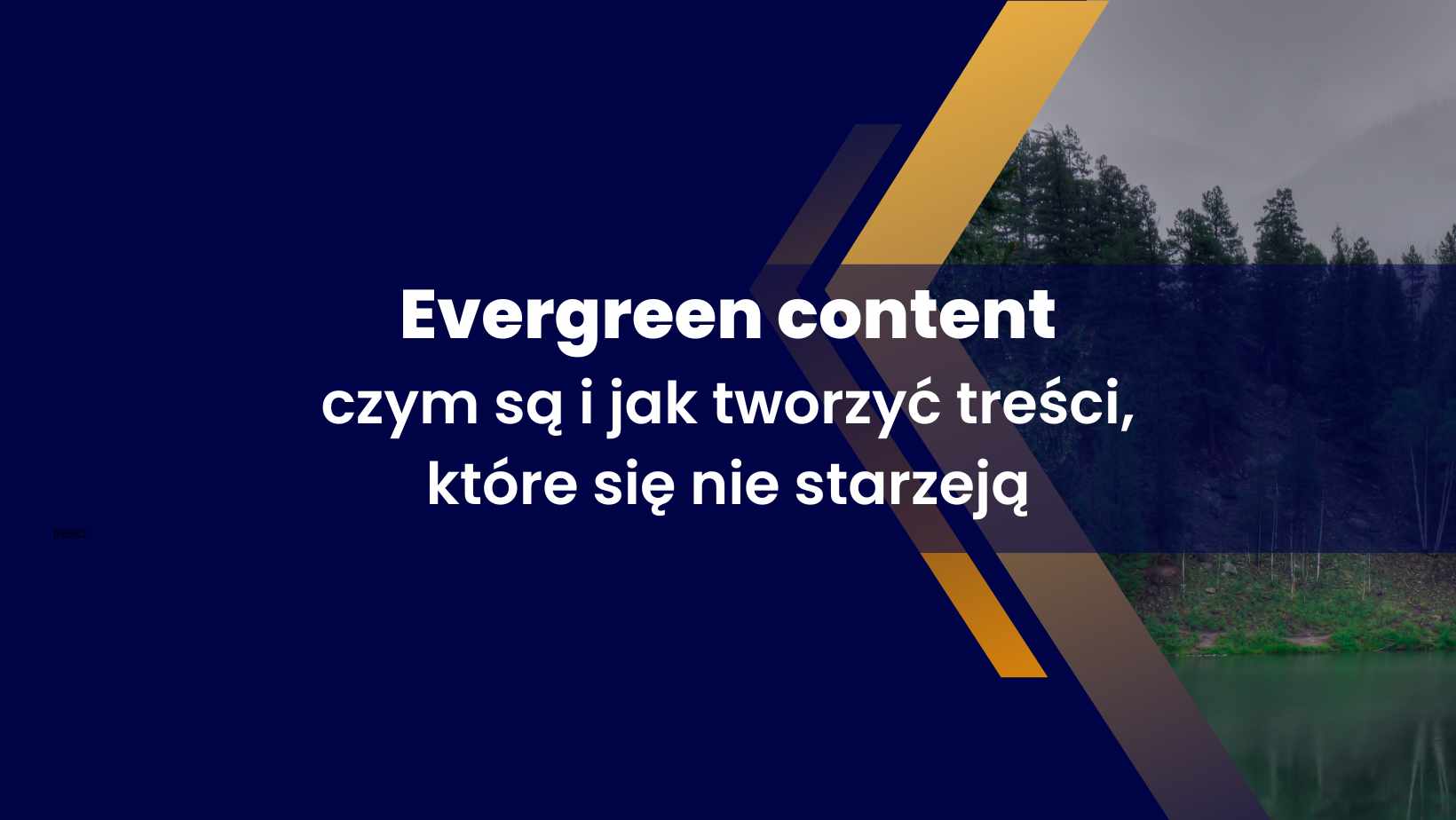 evergreen content publikuj tresci ktore sie nie starzeja