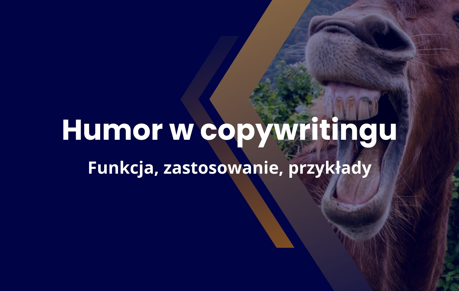 humor w copywritingu i reklamie jak tworzyc zabawne i skuteczne marketingowo tresci